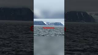 Svalbard fjords and bays 1 shorts travel [upl. by Liagiba]