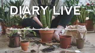 Backsound diary live  berkebun di rumah no copyright [upl. by Siver]