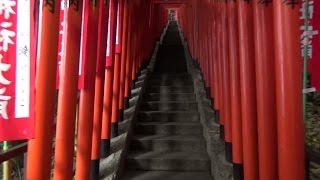 Hie Jinja Shrine Torii Corridor [upl. by Rodrique]