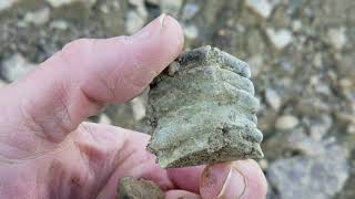 Fossil Hunting Southwest Ohio Trilobites and More [upl. by Hsekin]