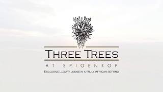 Experience Three Tree Hill Lodge Three Trees at Spioenkop [upl. by Aya166]