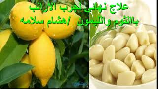 علاج نهائي لجرب الارانب بالثوم والليمونA final treatment to try rabbits with garlic and lemon [upl. by Accever842]