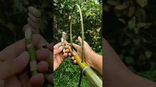 Diy bamboo slingshotsfun amp easy to make at home slingshots bamboo ideas diyprojects [upl. by Rumpf]