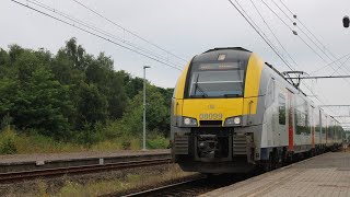 Rit Zonhoven  Hasselt MS08  L 4411 [upl. by Hayden]