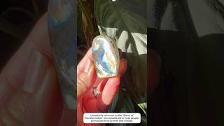 Small labradorite free form a  crystal if interested click bio crystallife crystalcommunity￼ [upl. by Burck382]