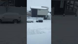 Snow Day snow viralvideo shorts nature shortvideo [upl. by Felita]