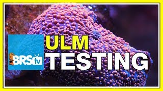 ULM Tank Trials Ep19 Water Testing for Ultra Low Maintenance  BRStv [upl. by Norina]