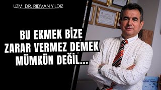 Bu ekmekler bize zarar vermiyor diyemeyiz  Ekmek dosyası  Bölüm 3  Dr Rıdvan Yıldız [upl. by Bob]