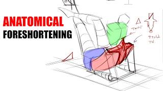 How to Draw Anatomy in your Foreshortening [upl. by Harias]