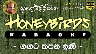 Gagata Kapana Ini Karaoke Without Voice ගඟට කපන ඉණි කැරෝකේ [upl. by Maddox53]