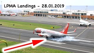 Madeira Airport Landings LPMA 28 January 2019 [upl. by Levram]