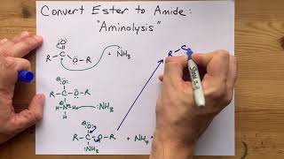 Converting Esters to Amides quotAminolysisquot [upl. by Leahcin]