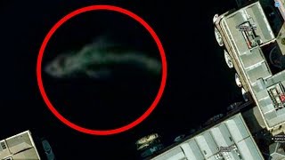 Mysterious Sea Creatures Spotted On Google Earth [upl. by Ibbison]