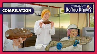 How are different FOODS made 🍄🍴  Maddies Do You Know 👩 20 MINUTE Compilation [upl. by Adnat543]