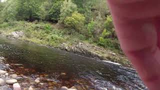 River Findhorn Salmon Scotland Fly Fishing [upl. by Nette386]