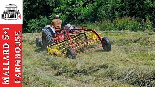 Baling Hay 2024  Our Hay Making Journey SHORT VIDEO [upl. by Brocky]