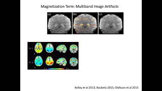 Biophysical Basis of fMRI Noise [upl. by Yrak]