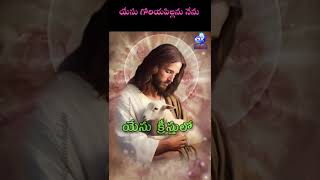 యేసు గొరియ పిల్లను నేను wattapp status viralvideo viralshort trending [upl. by Neddra]