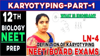 What is Karyotyping Definition of karyotypingClass 12Biology simplified CBSE TNSCERT [upl. by Lorri]