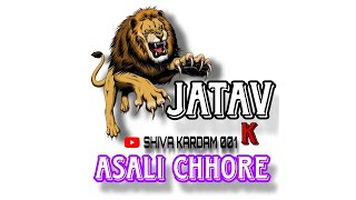 💙💙JATAV ka asali chhore 💙💙 varlivideo song zarakhan royaljatav jatavcommiunity youtubevideo [upl. by Peedsaj]