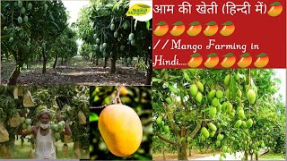 Mango cultivation In hindiCUETICARJET PART1Agriculture Important points for Competitive exam [upl. by Tireb]