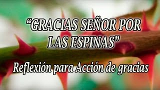 Reflexión para Acción de gracias quotGracias Señor por las espinasquot [upl. by Ahtekal432]