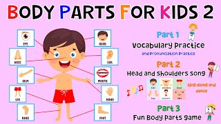 Body Parts For Kids 2  Learn Parts Of The Body  Body Part Quiz  ESL Kids  4K [upl. by Atinram]