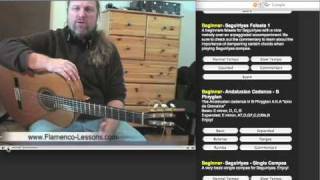 FlamencoLessonscom  Flamenco Guitar Lessons Part 1 [upl. by Ingunna]