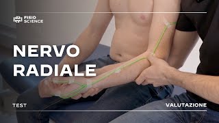 Nervo Radiale anatomia decorso e palpazione [upl. by Nylave]