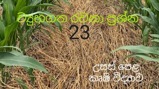 Structured Essay 23  Agricultural Science for Advance Level Examination Sinhala medium [upl. by Kryska]