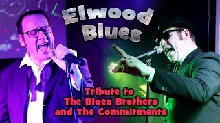 Elwood Blues  Blues Brothers and The Commitments solo tribute show [upl. by Aeht834]