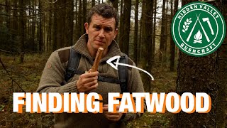 WHY are people BUYING FATWOOD Let me show you how to find it [upl. by God80]