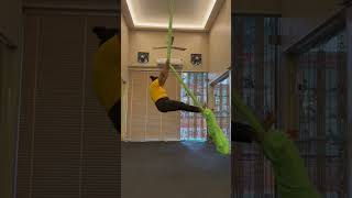 Simple aerial silks drop for beginner  intermediate aerial shortvideo [upl. by Wj]