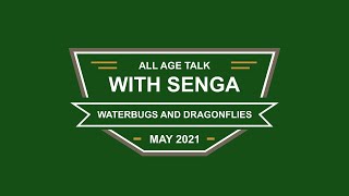 Waterbugs and Dragonflies Allage Talk with Senga [upl. by Nawat]