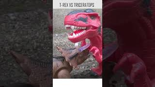 T Rex vs Triceratops [upl. by Stonwin]