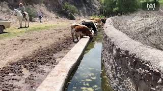 La Yerbabuena Valparaíso Zacatecas SHORT VIDEO [upl. by Enela]