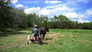 Horse Drawn Hay Mower [upl. by Keg]