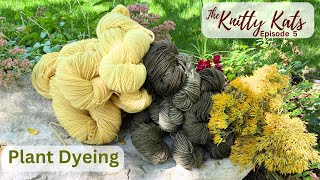 Plant DyeingNaturally Episode 5 [upl. by Flower564]