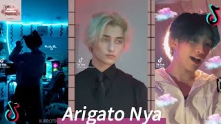 Arigato Nya  Tiktok Compilation  SP Tiktok [upl. by Neira8]