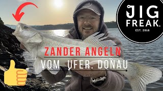 Zander Angeln vom Ufer Donau [upl. by Artemus]