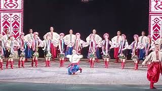 Virsky Ukrainian National Folk Dance Ensemble Ансамбль танца Украины имВирского Отрывок концерта [upl. by Ayotak]