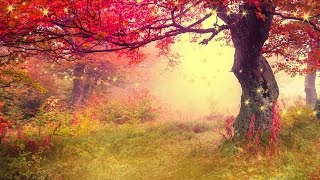 2 hours of peaceful relaxing flute and violin instrumental music by Tim Janis [upl. by Sayer]