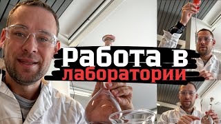 РЕАЛЬНАЯ ЖИЗНЬ УКРАИНСКОГО СТУДЕНТА В НОРВЕГИИ Что происходит в лабораториях Университета Осло [upl. by Nimrahc248]