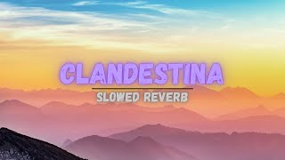 CLANDESTINA SONG SLOWED REVERB  BASS BOOSTED  clandestinas MRINFINITRIX [upl. by Wobniar]