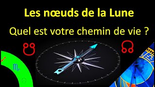 Les noeuds de la Lune  notre chemin dévolution [upl. by Einned]