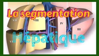 La SEGMENTATION HÉPATIQUE expliquée clairement [upl. by Akcirehs574]