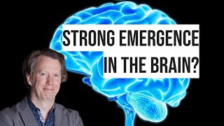 Strong Emergence vs The Core Theory Response to Sean Carroll [upl. by Shari]