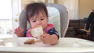 Baby Led Weaning BLW  Day 69  Cream Cheese on Whole Wheat Toast 8m1d [upl. by Greabe]