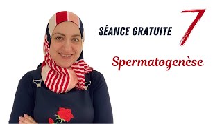 Spermatogenèse Séance 7 gratuite [upl. by Tada]