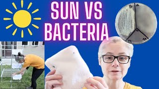 Does the Sun Remove Bacteria From Cloths  Part 2 Viewer Request [upl. by Siul936]